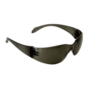Gafa Panoramica 590-g  Oscura