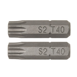 PUNTAS 25MM.TORX Nº 25 (2 UDS)